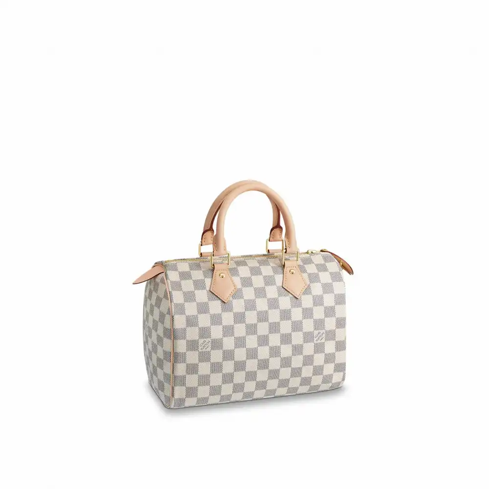 Affordable Louis Vuitton Speedy 25 N41371