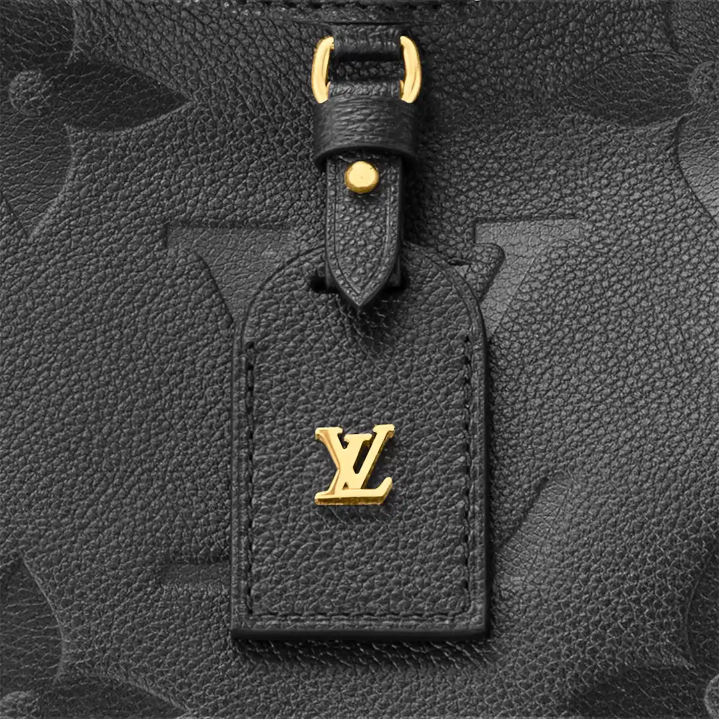 Affordable Louis Vuitton Black M46289 CarryAll MM