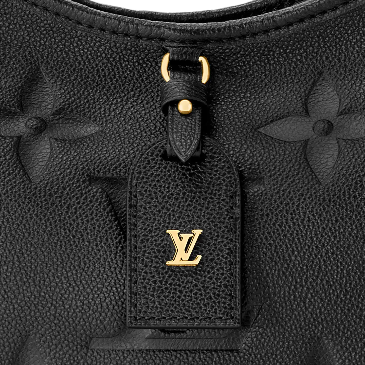 Affordable Louis Vuitton Black M46288 CarryAll PM