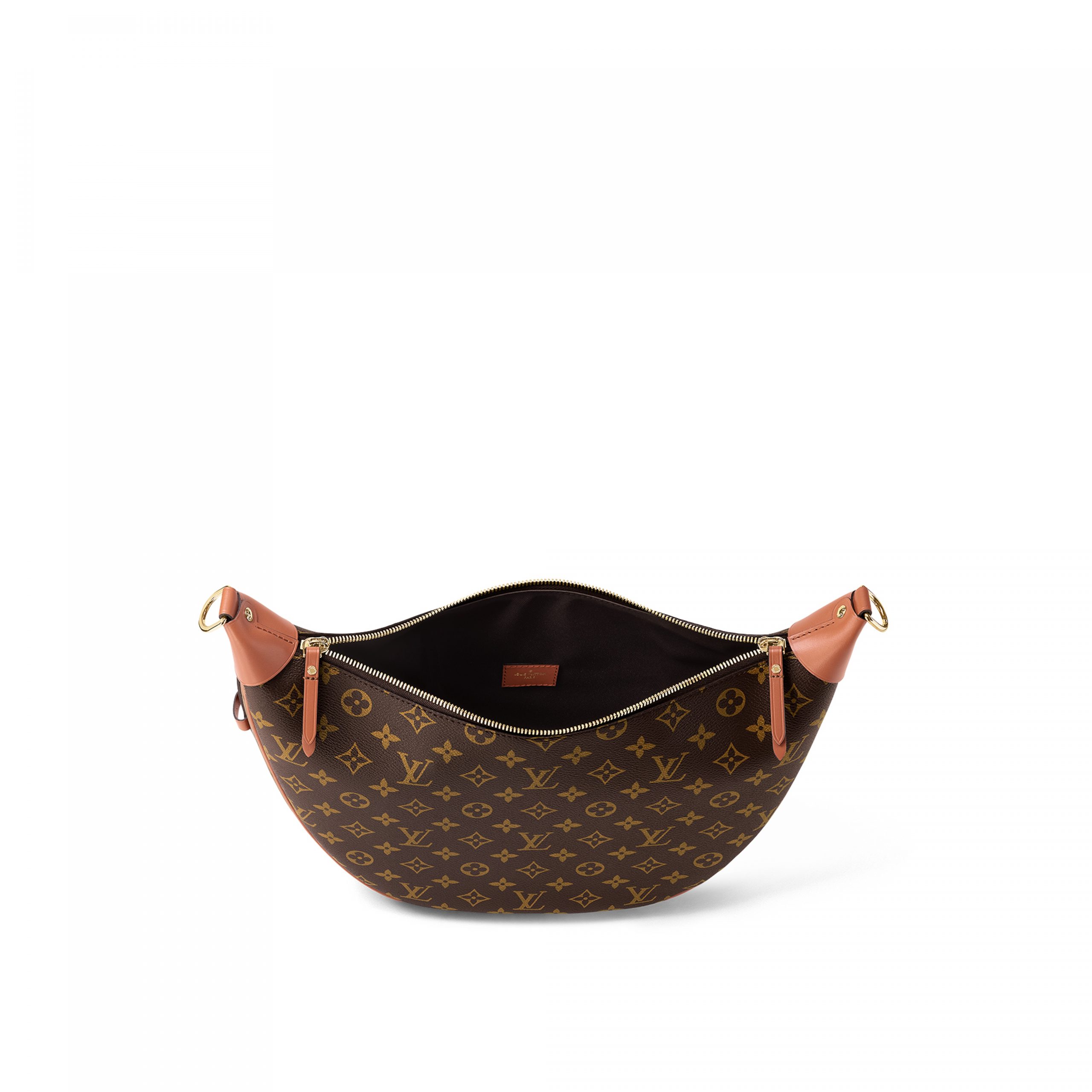 Louis Vuitton M46311 Loop Hobo Monogram