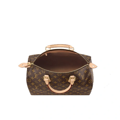 M41107 Speedy 35 Monogram canvas