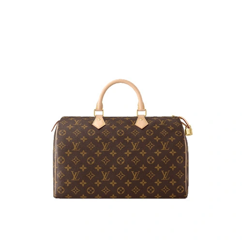 M41107 Speedy 35 Monogram canvas