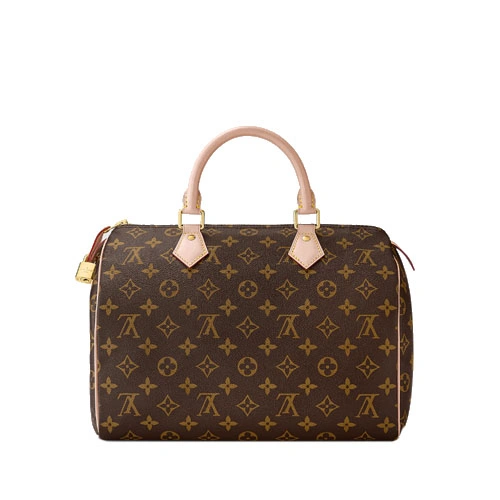 M41108 Speedy 30 Monogram canvas