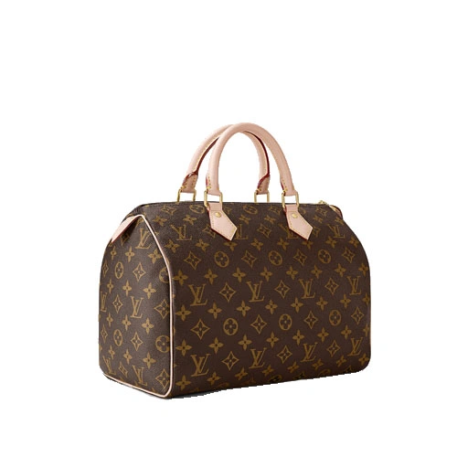 M41108 Speedy 30 Monogram canvas