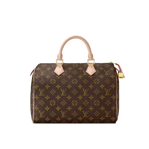 M41108 Speedy 30 Monogram canvas
