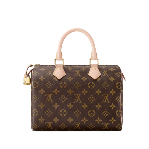 M41109 Speedy 25 Monogram canvas