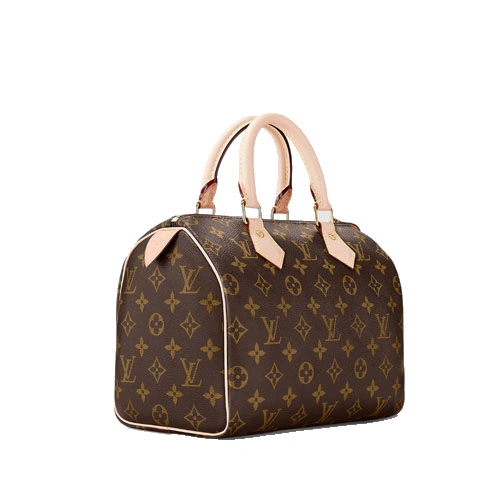M41109 Speedy 25 Monogram canvas