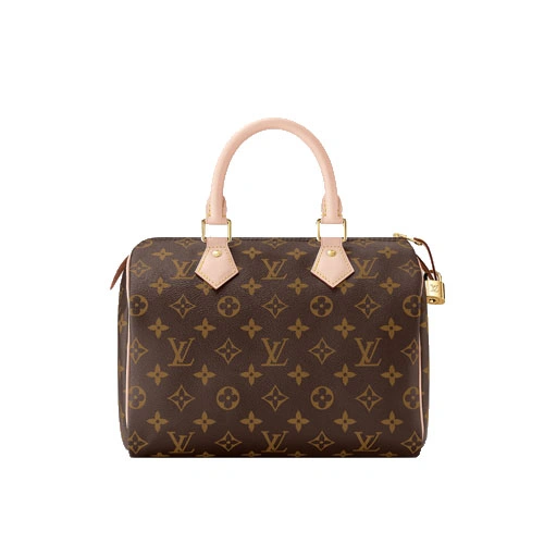 M41109 Speedy 25 Monogram canvas