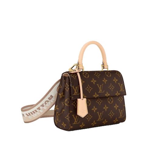 M46055 Cluny Mini Monogram canvas