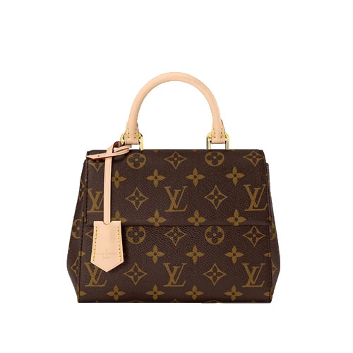 M46055 Cluny Mini Monogram canvas
