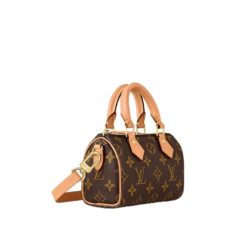 M81085 Nano Speedy Monogram canvas