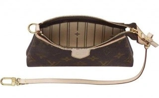 Mini Pochette Delightful Monogram M40309