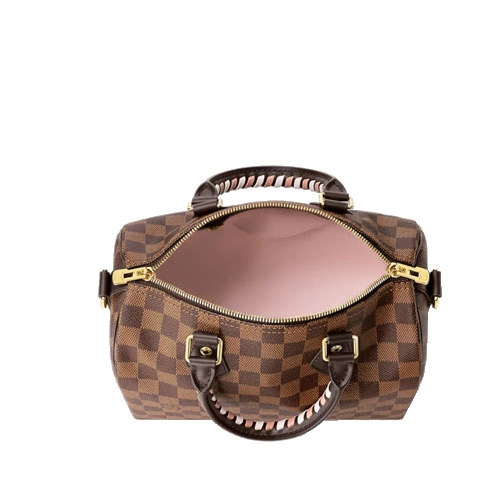 N40450 Braided Speedy 25 Damier