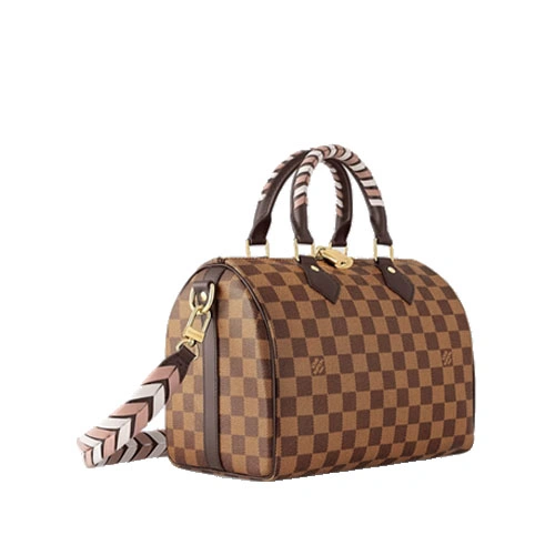 N40450 Braided Speedy 25 Damier