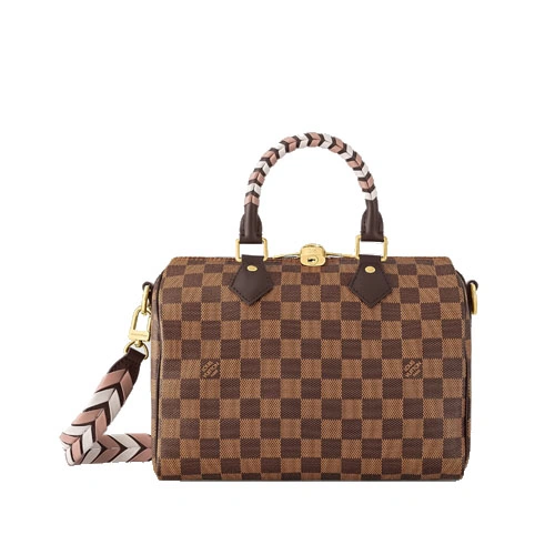 N40450 Braided Speedy 25 Damier