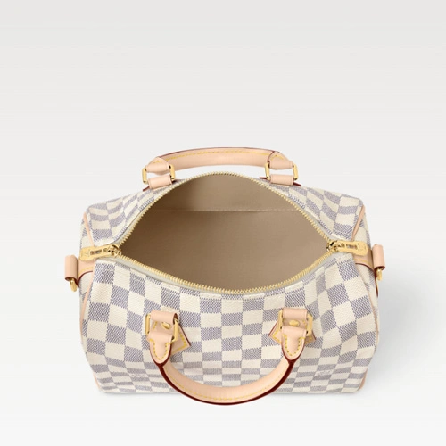 N40608 Speedy Bandoulière 25