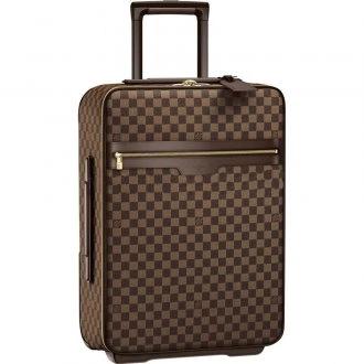 Pegase 55 N23294 Brown
