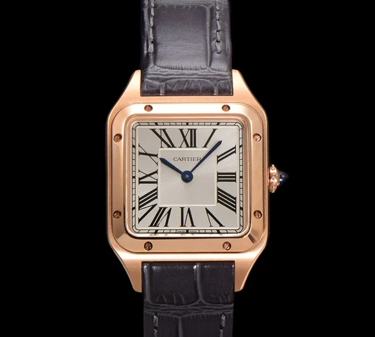 F1 Factory Cartier Santos WGSA0116 1:1 Best Edition Replica Watch