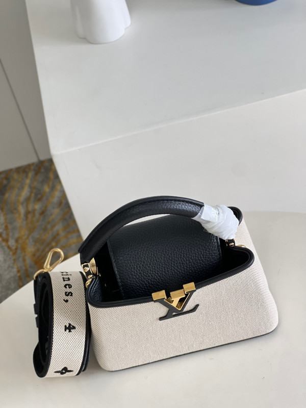 LOUIS VUITTON CAPUCINES MINI