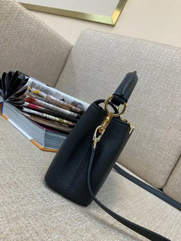 Rep LOUIS VUITTON CAPUCINES MINI