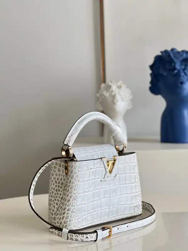 Rep LOUIS VUITTON CAPUCINES MINI