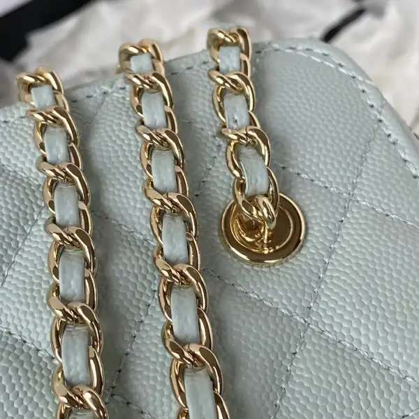 CHANEL SMALL VANITY WITH CHANELASSIC CHAIN