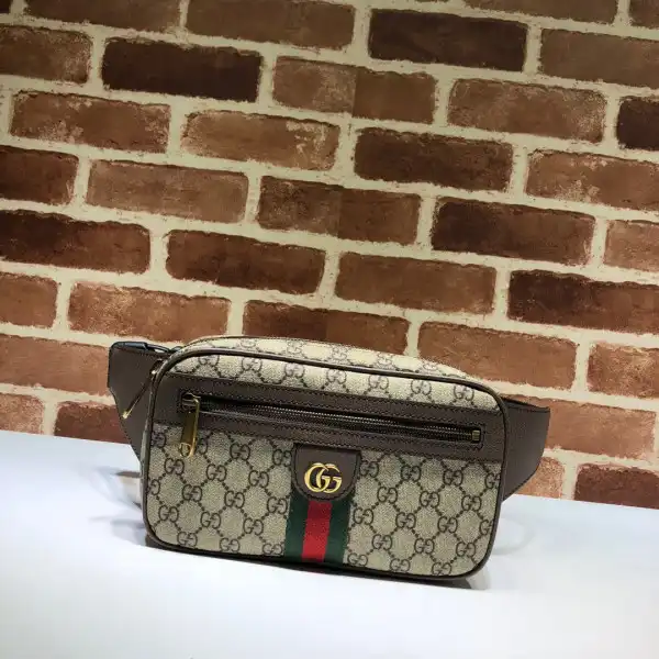 TO GUCCI Ophidia GG belt bag