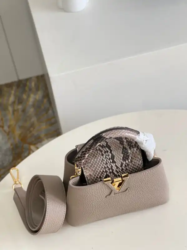 Cheap LOUIS VUITTON CAPUCINES MINI