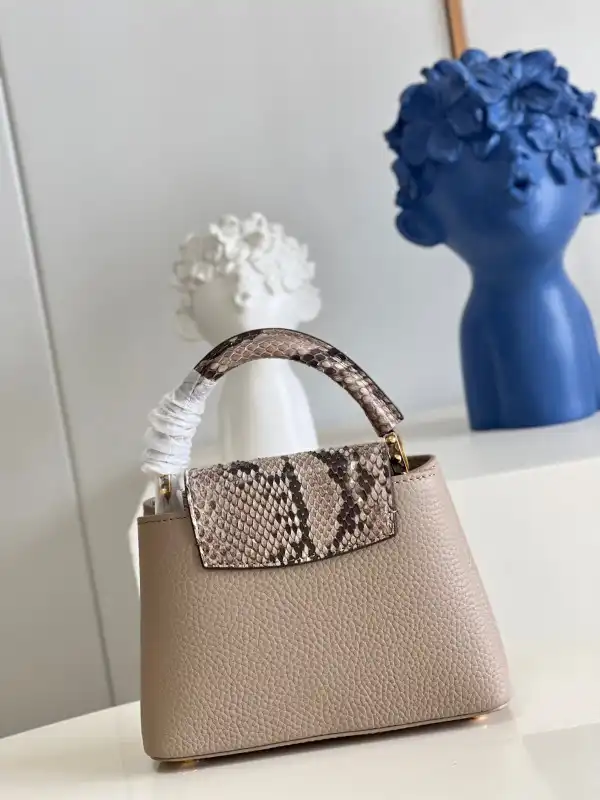 Cheap LOUIS VUITTON CAPUCINES MINI