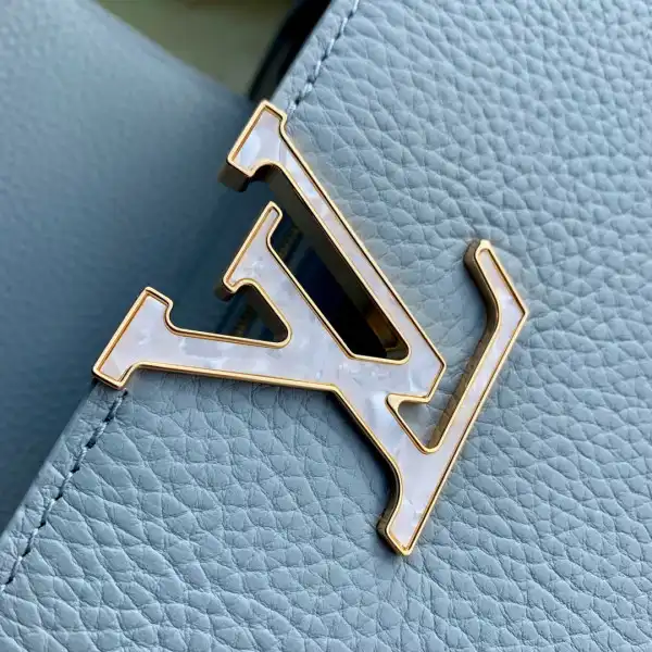 Affordable LOUIS VUITTON CAPUCINES MINI