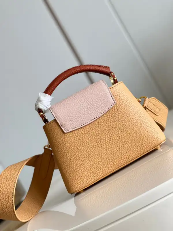 Rep LOUIS VUITTON CAPUCINES MINI