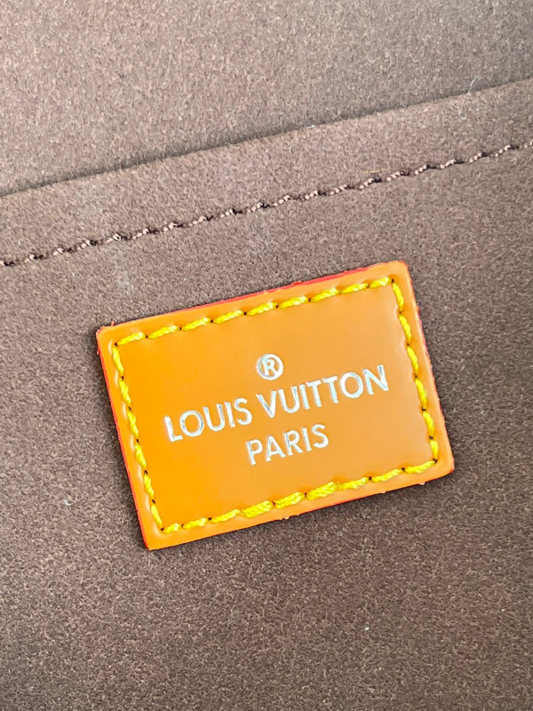 LOUIS VUITTON CLUNY MINI