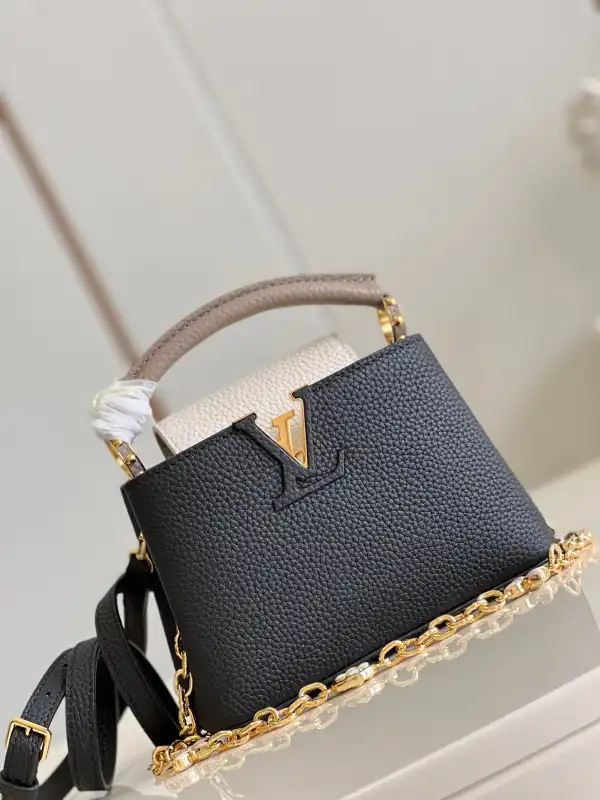 Affordable LOUIS VUITTON CAPUCINES MINI