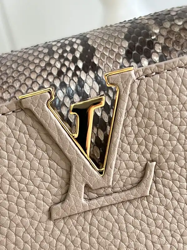 Frstbag ru LOUIS VUITTON CAPUCINES MINI