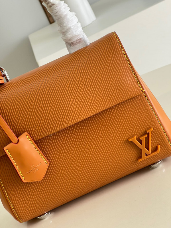 LOUIS VUITTON CLUNY MINI