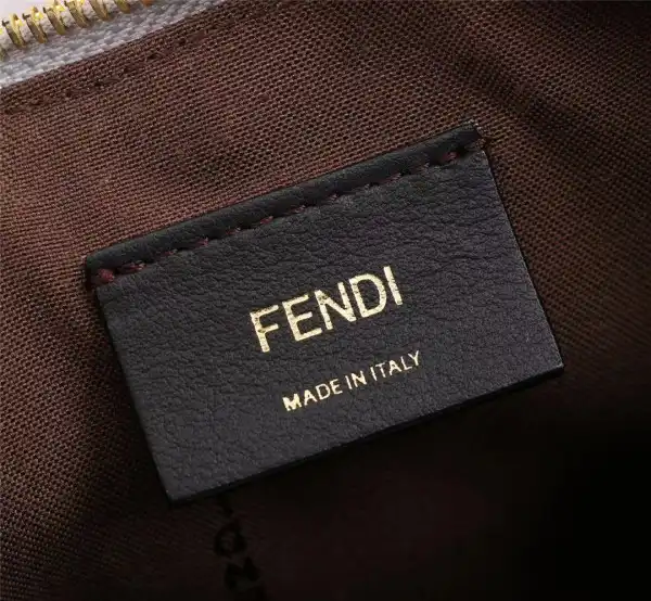 Bagsoffer Fendi Fendigraphy Small