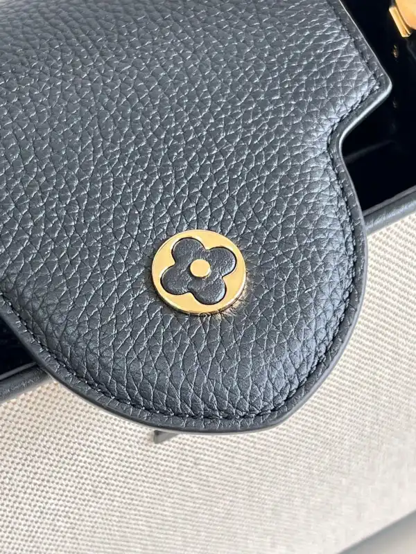 Cheap LOUIS VUITTON CAPUCINES BB