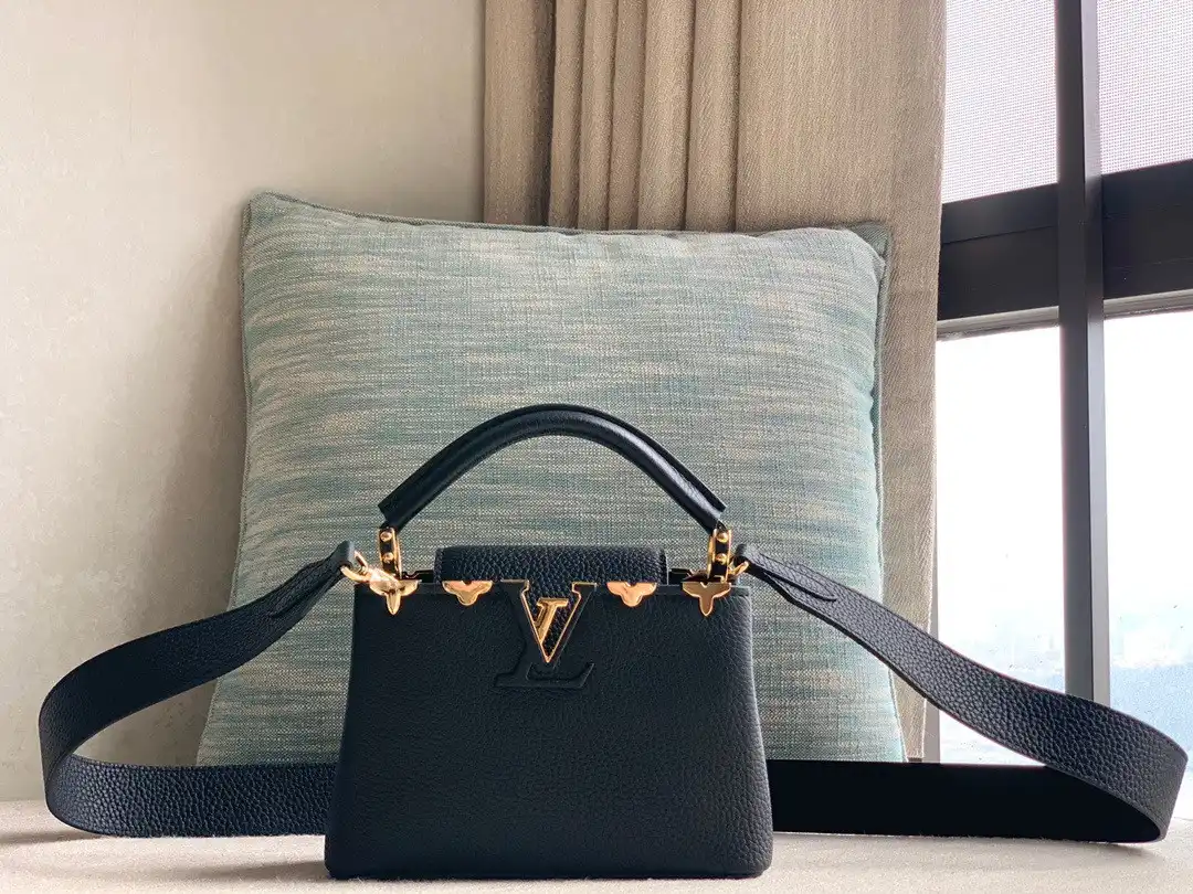 Affordable LOUIS VUITTON CAPUCINES MINI