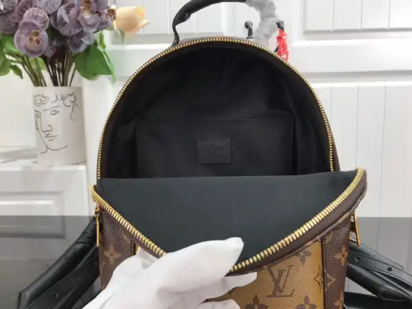 First bag ru LOUIS VUITTON PALM SPRINGS PM NEW EDITON