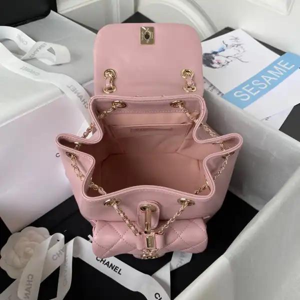 Frstbag ru CHANEL BACKPACK