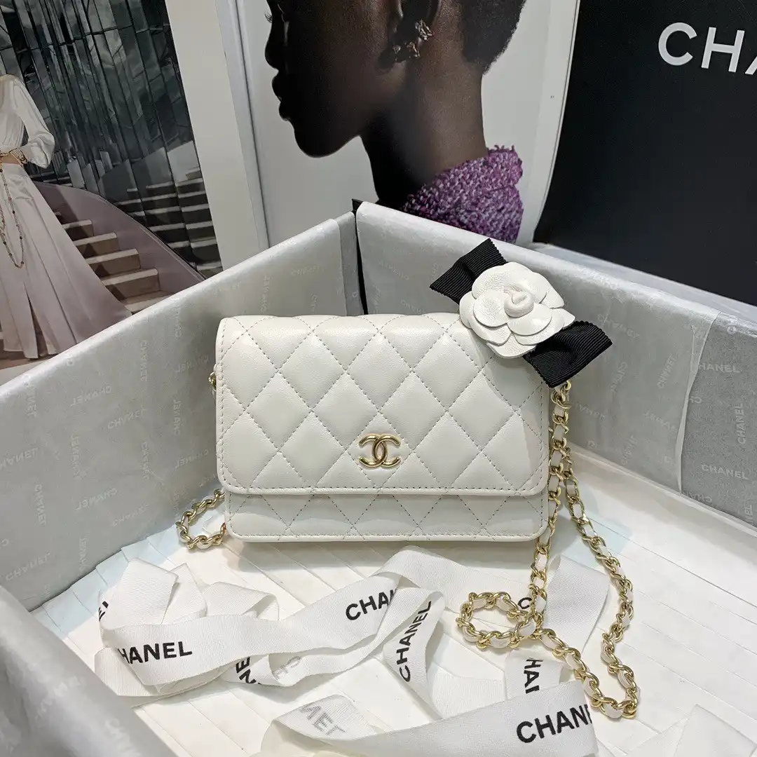 CHANEL MINI WALLET ON CHAIN