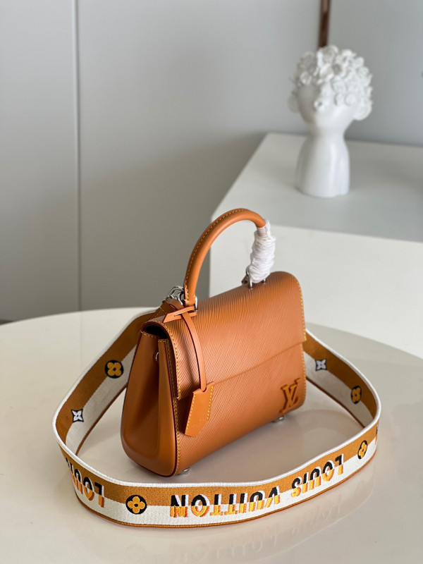 LOUIS VUITTON CLUNY MINI