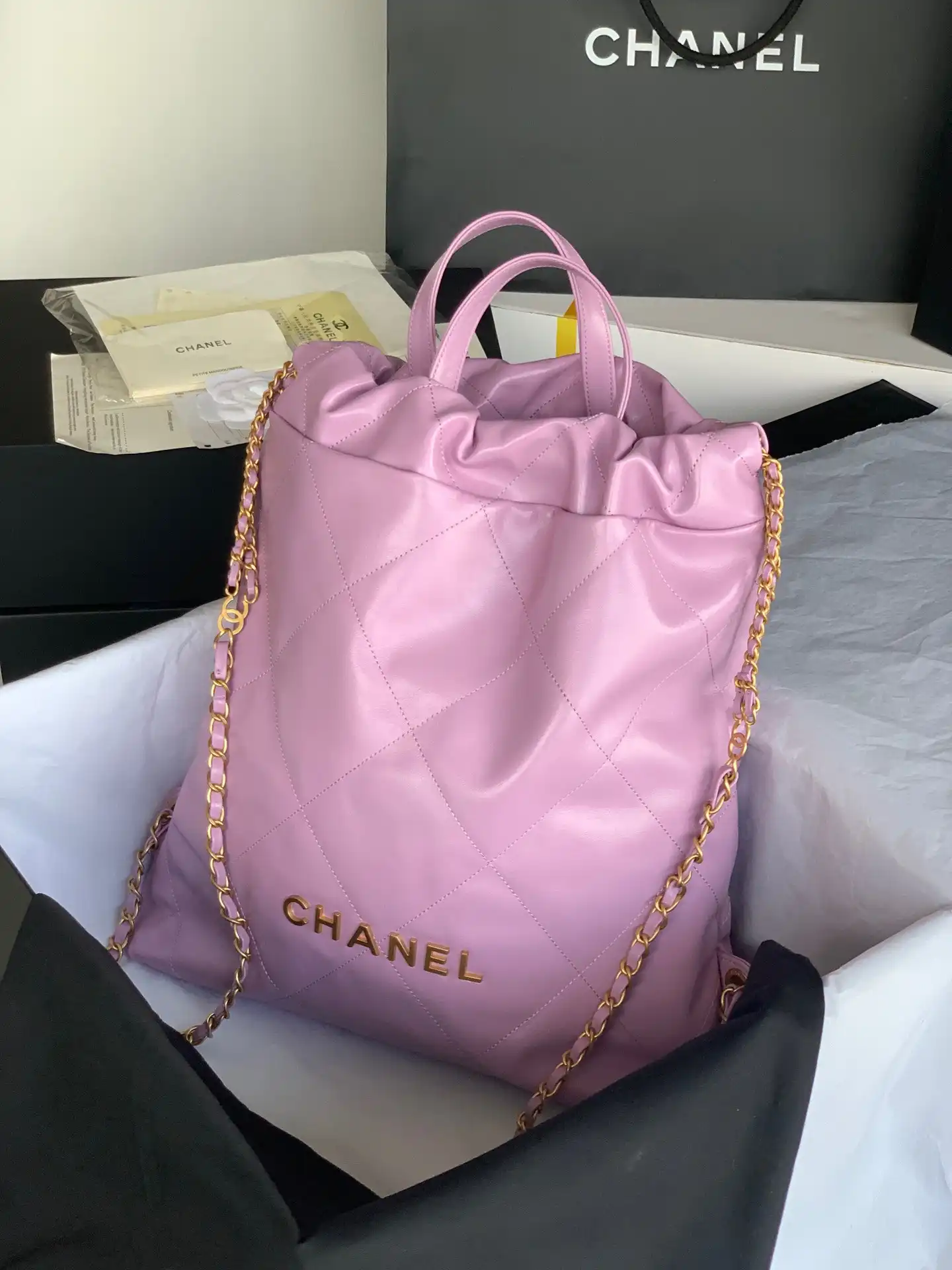 CHANEL LARGE BACKPACK 22