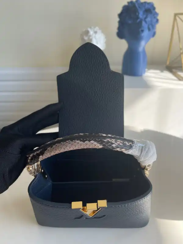 Frstbag ru LOUIS VUITTON CAPUCINES MINI