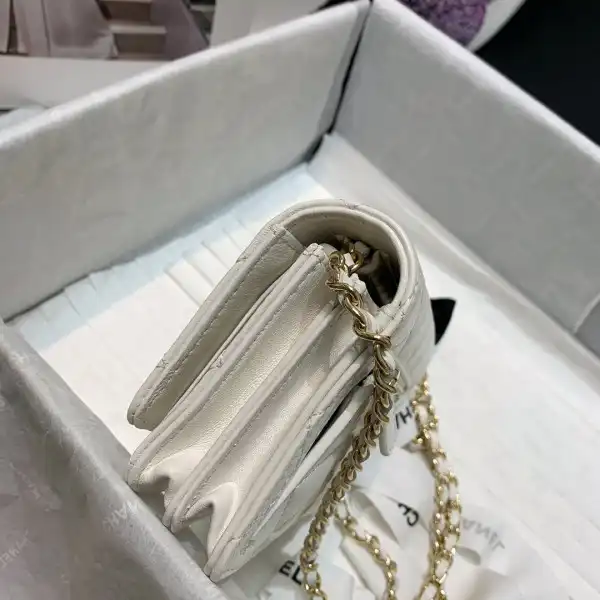 CHANEL MINI WALLET ON CHAIN