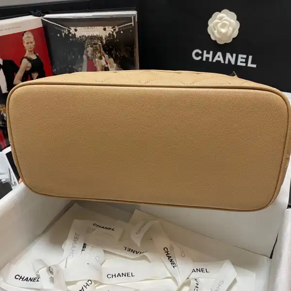 CHANEL VINTAGEP BAG