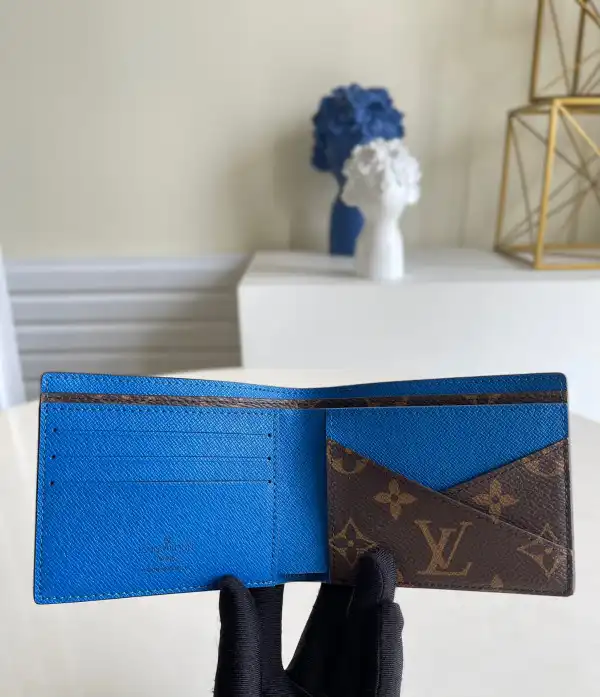 LOUIS VUITTON MULTIPLE WALLET