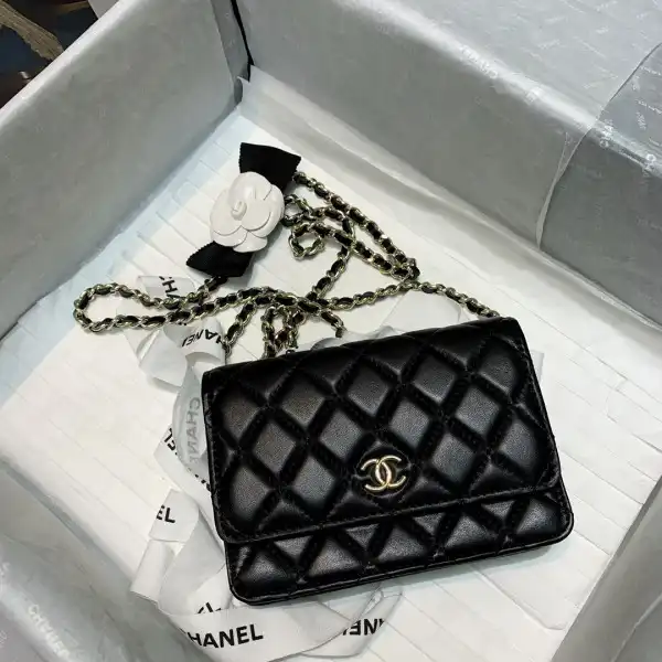 CHANEL MINI WALLET ON CHAIN