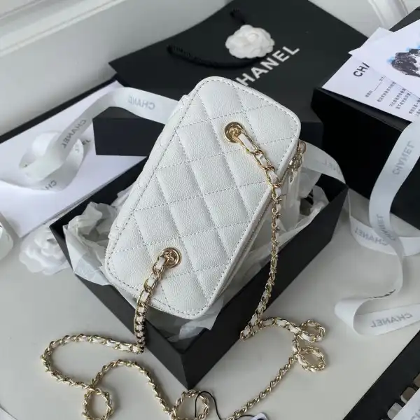 CHANEL SMALL VANITY WITH CHANELASSIC CHAIN