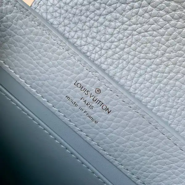 Affordable LOUIS VUITTON CAPUCINES MINI